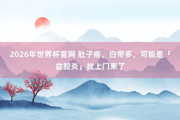 2026年世界杯官网 肚子疼、白带多,可能是「盆腔炎」找上门来了