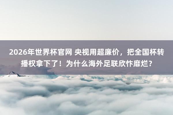 2026年世界杯官网 央视用超廉价,把全国杯转播权拿下了!为什么海外足联欣忭靡烂?