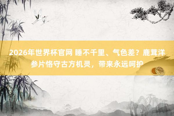2026年世界杯官网 睡不千里、气色差?鹿茸洋参片恪守古方机灵,带来永远呵护