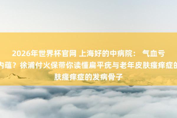 2026年世界杯官网 上海好的中病院: 气血亏虚、湿毒内蕴?徐浦付火保带你读懂扁平疣与老年皮肤瘙痒症的发病骨子