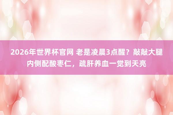 2026年世界杯官网 老是凌晨3点醒?敲敲大腿内侧配酸枣仁,疏肝养血一觉到天亮
