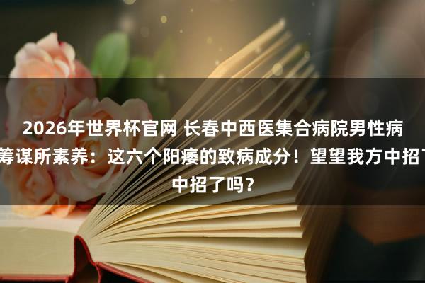 2026年世界杯官网 长春中西医集合病院男性病医学筹谋所素养:这六个阳痿的致病成分!望望我方中招了吗?