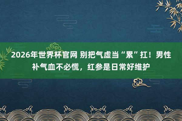 2026年世界杯官网 别把气虚当“累”扛!男性补气血不必慌,红参是日常好维护