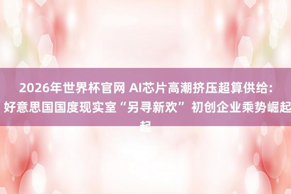 2026年世界杯官网 AI芯片高潮挤压超算供给: 好意思国国度现实室“另寻新欢” 初创企业乘势崛起