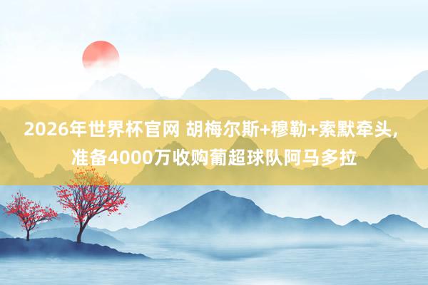 2026年世界杯官网 胡梅尔斯+穆勒+索默牵头, 准备4000万收购葡超球队阿马多拉
