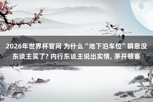 2026年世界杯官网 为什么“地下泊车位”瞬息没东谈主买了? 内行东谈主说出实情, 茅开顿塞