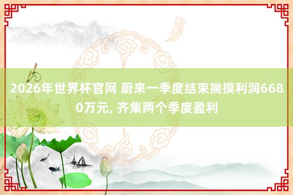 2026年世界杯官网 蔚来一季度结束揣摸利润6680万元, 齐集两个季度盈利