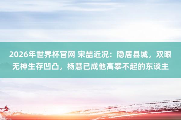2026年世界杯官网 宋喆近况:隐居县城,双眼无神生存凹凸,杨慧已成他高攀不起的东谈主