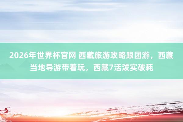 2026年世界杯官网 西藏旅游攻略跟团游,西藏当地导游带着玩,西藏7活泼实破耗