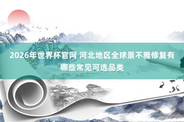 2026年世界杯官网 河北地区全球景不雅修复有哪些常见可选品类