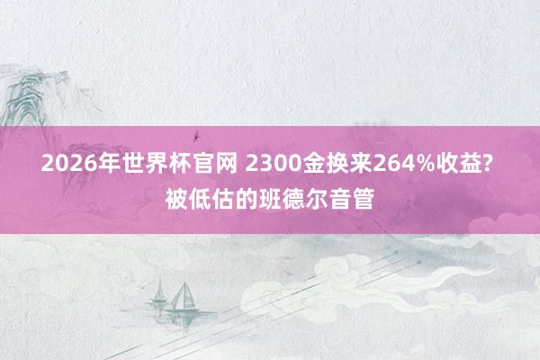2026年世界杯官网 2300金换来264%收益? 被低估的班德尔音管