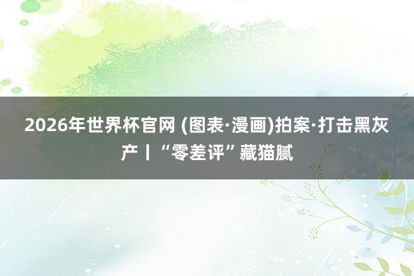 2026年世界杯官网 (图表·漫画)拍案·打击黑灰产丨“零差评”藏猫腻
