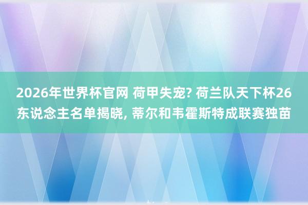 2026年世界杯官网 荷甲失宠? 荷兰队天下杯26东说念主名单揭晓, 蒂尔和韦霍斯特成联赛独苗