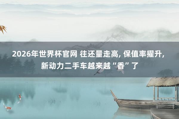 2026年世界杯官网 往还量走高, 保值率擢升, 新动力二手车越来越“香”了