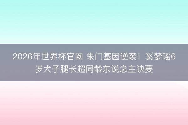 2026年世界杯官网 朱门基因逆袭!奚梦瑶6岁犬子腿长超同龄东说念主诀要