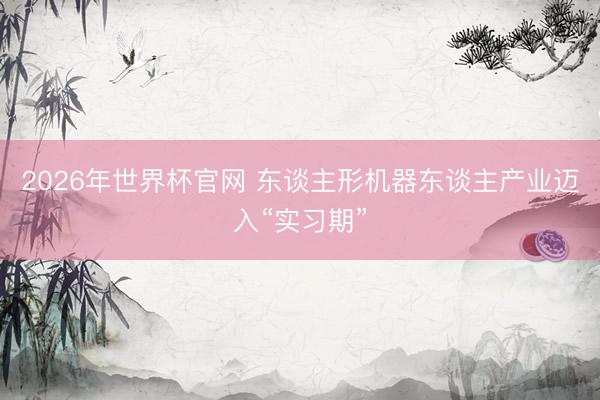 2026年世界杯官网 东谈主形机器东谈主产业迈入“实习期”