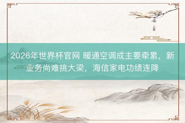 2026年世界杯官网 暖通空调成主要牵累，新业务尚难挑大梁，海信家电功绩连降